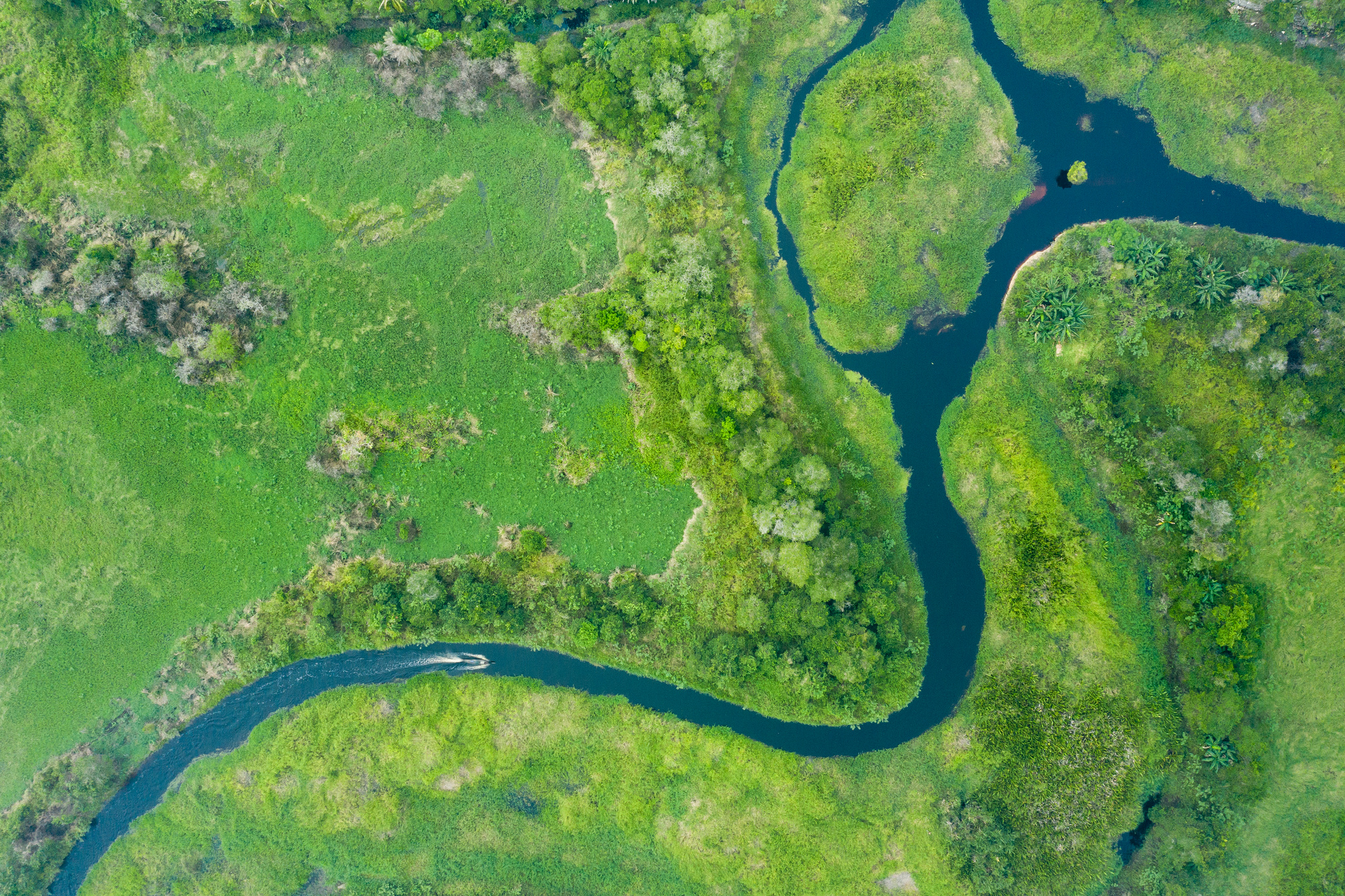 River and rainforest in Borneo Kalimantan with traditional boat